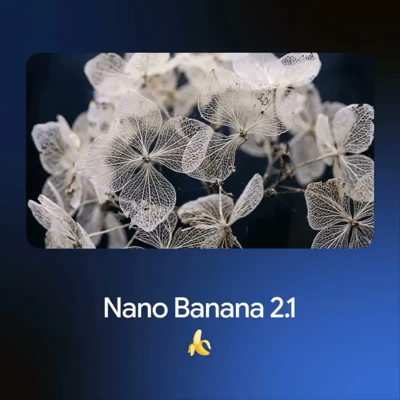 Nano Banana 2.1